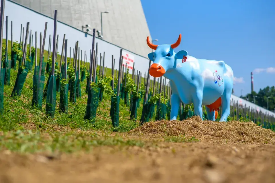 Vinohrad Jaderná elektrárna Dukovany