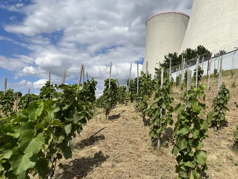 Vinohrad Jaderná elektrárna Dukovany