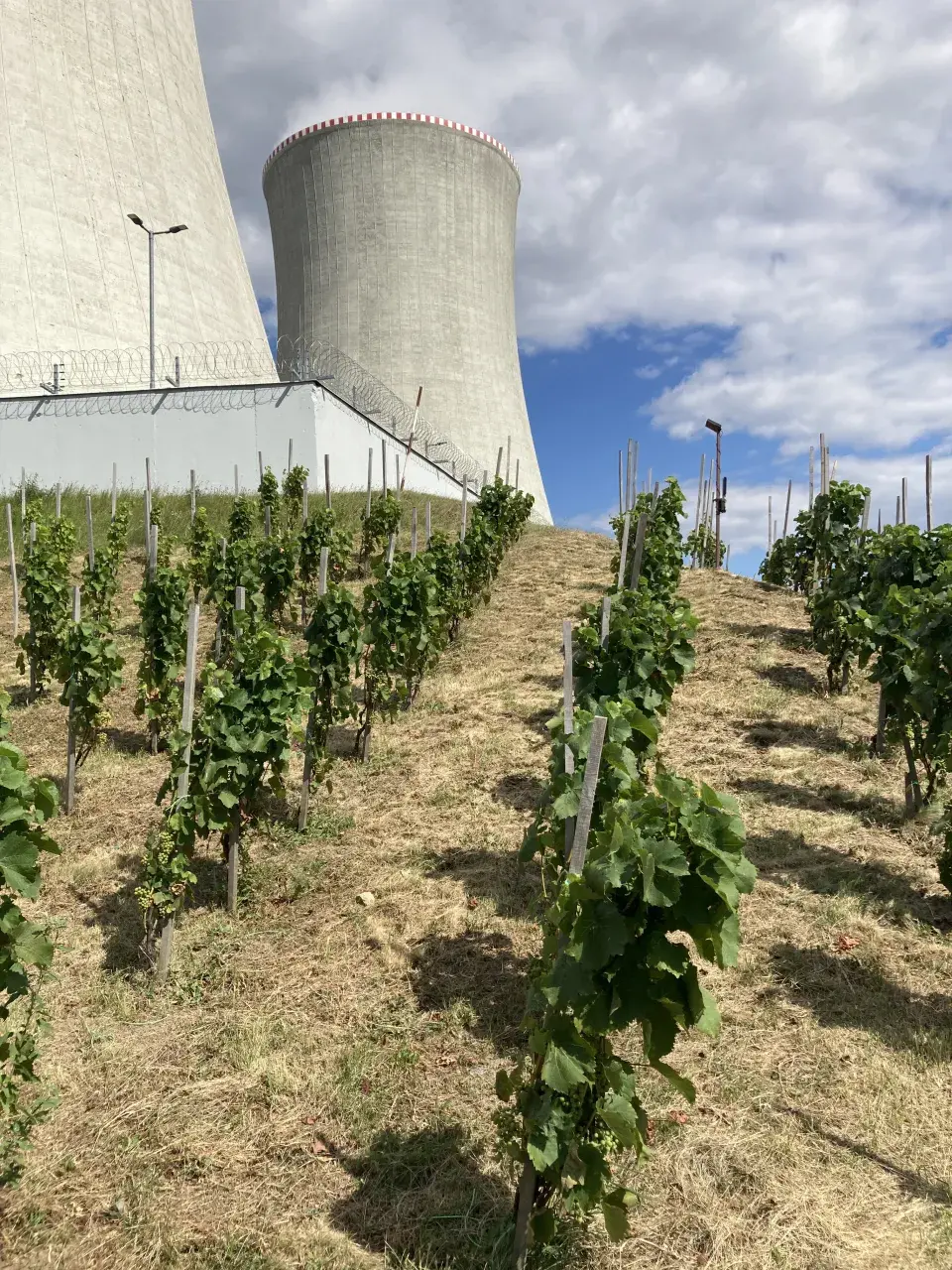 Vinohrad Jaderná elektrárna Dukovany