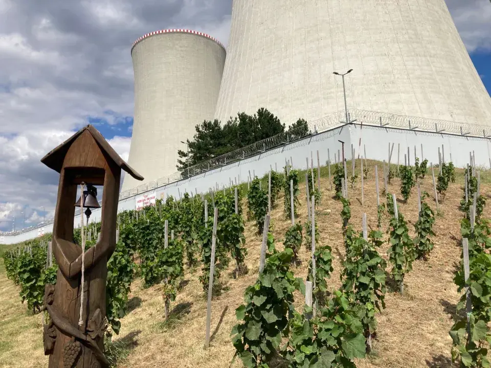 Vinohrad Jaderná elektrárna Dukovany