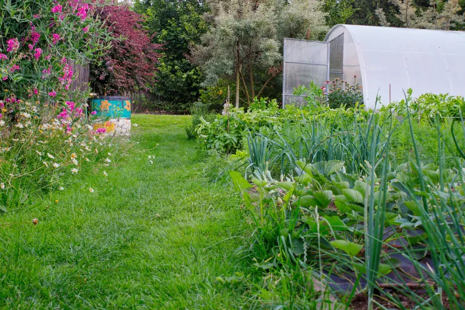 Návštěva zahrada čtenářky