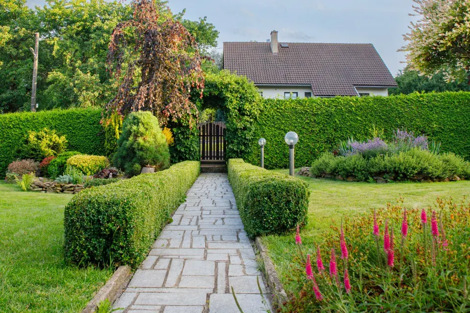 Návštěva zahrada čtenářky