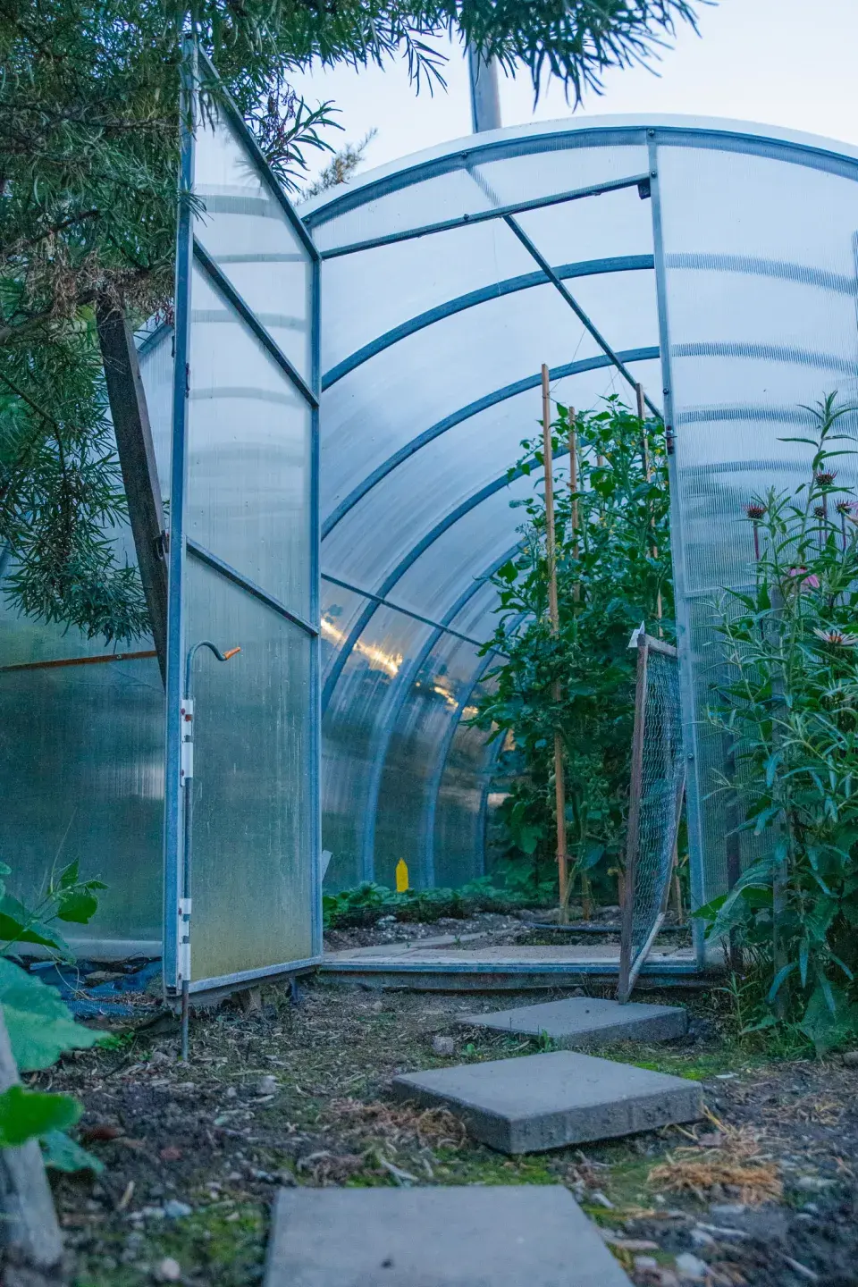 Návštěva zahrada čtenářky