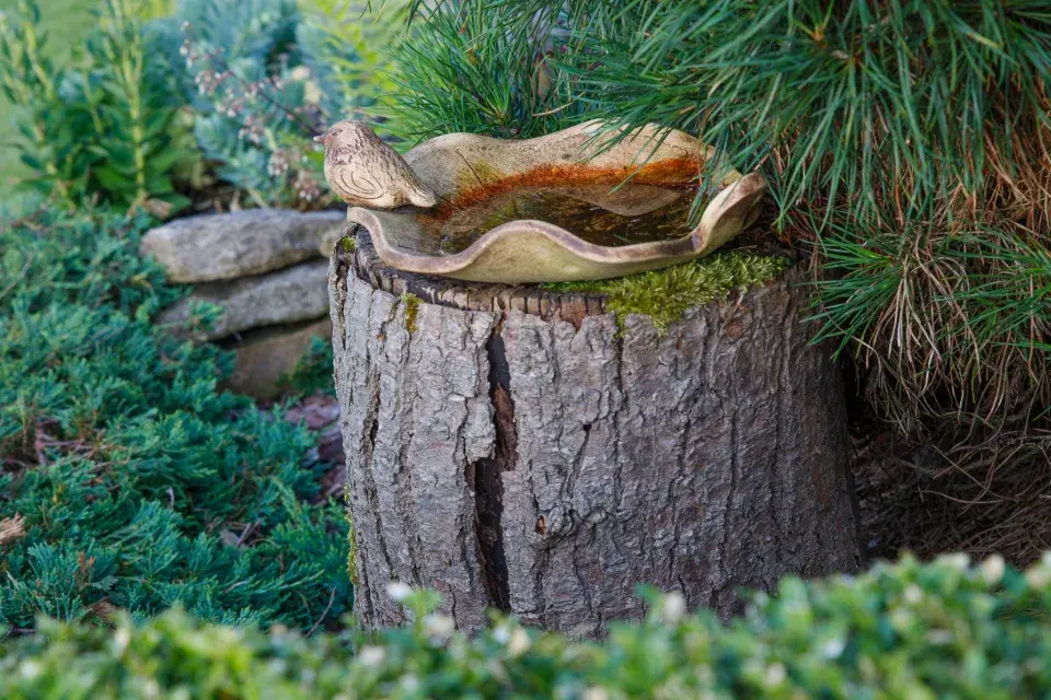 Návštěva zahrada čtenářky