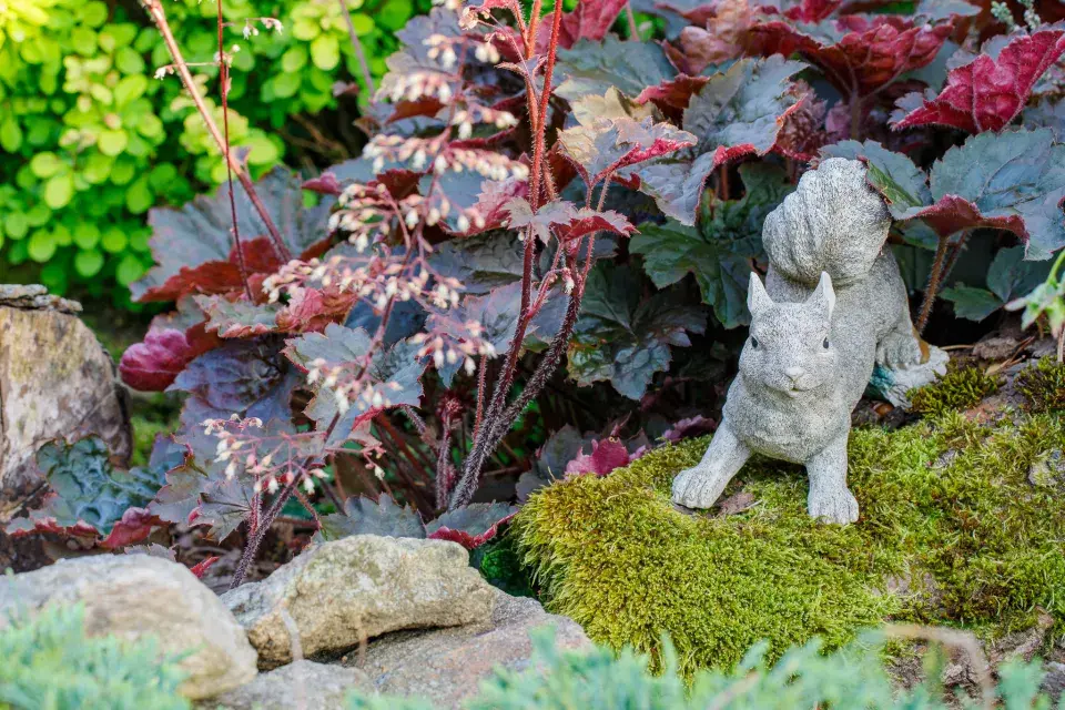 Návštěva zahrada čtenářky