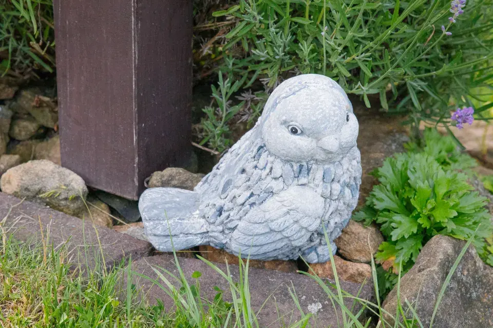 Návštěva zahrada čtenářky