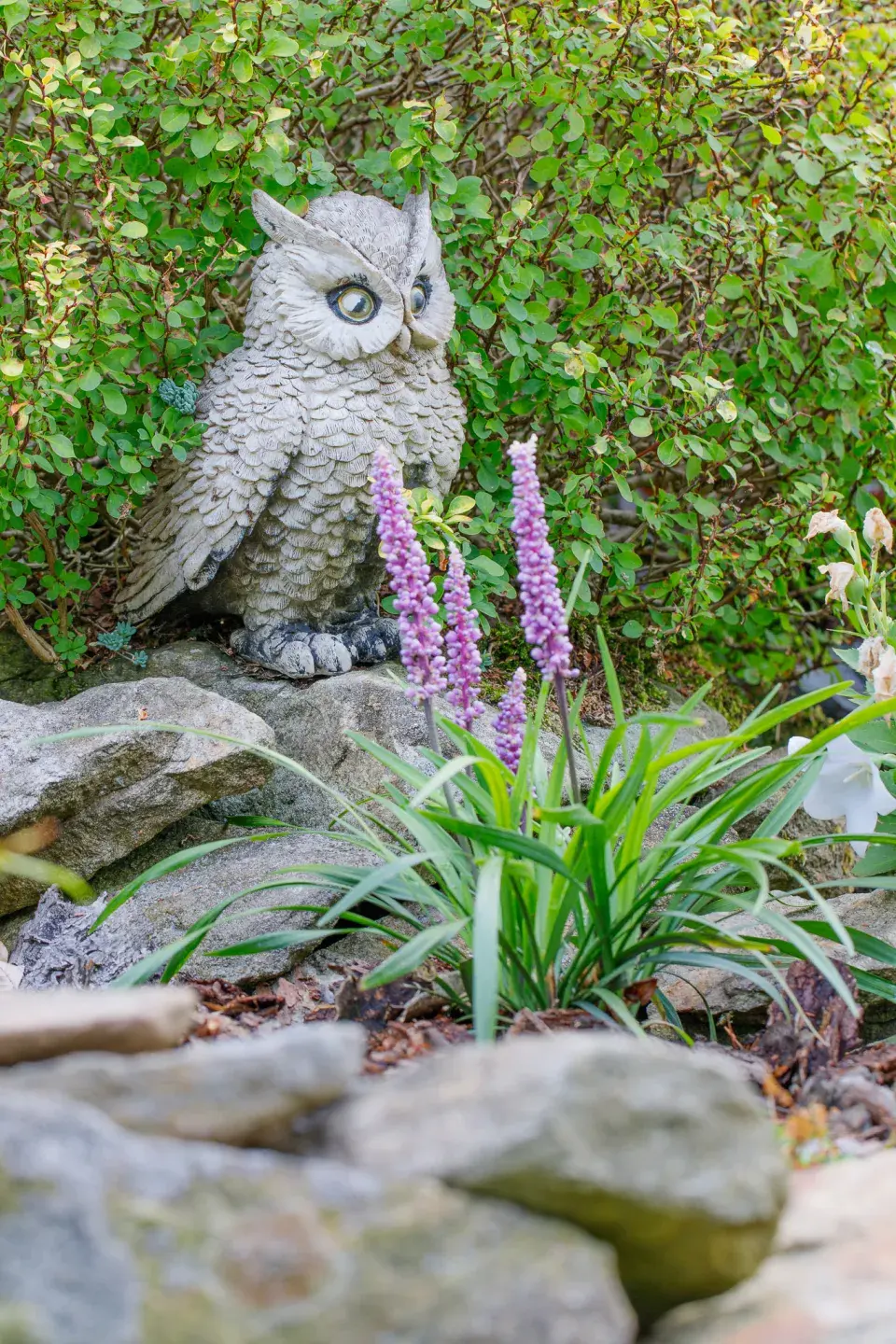 Návštěva zahrada čtenářky