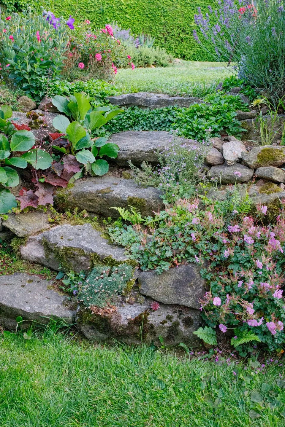 Návštěva zahrada čtenářky