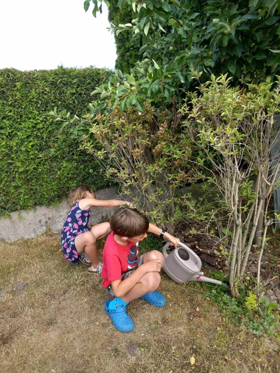 Návštěva zahrada čtenářky