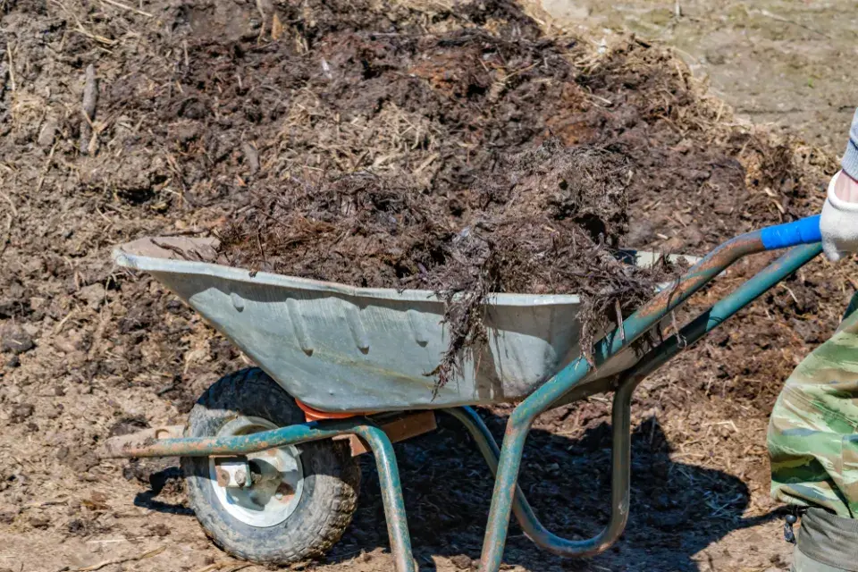 Hnůj - podzimní hnojení