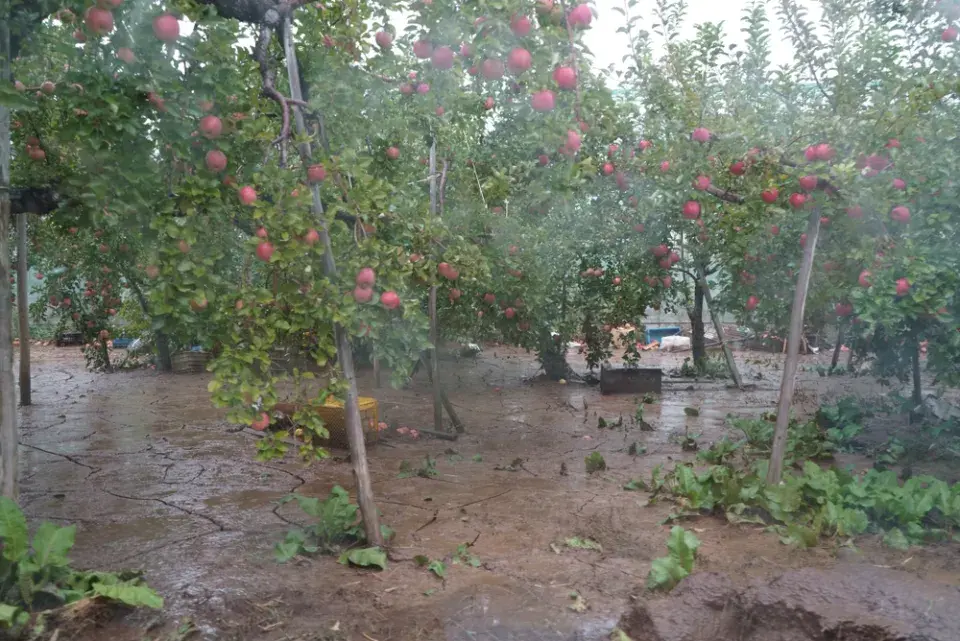 Záplava na zahradě