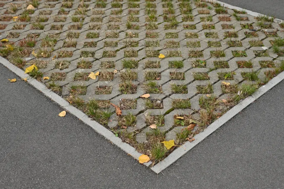 Záplava na zahradě