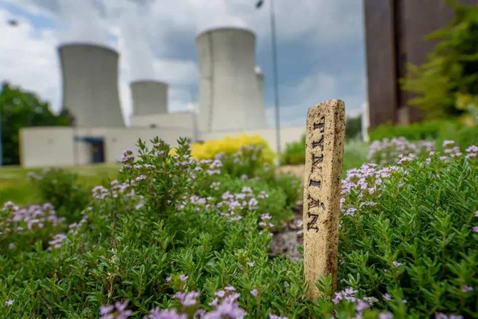 Vinohrad Jaderná elektrárna Dukovany