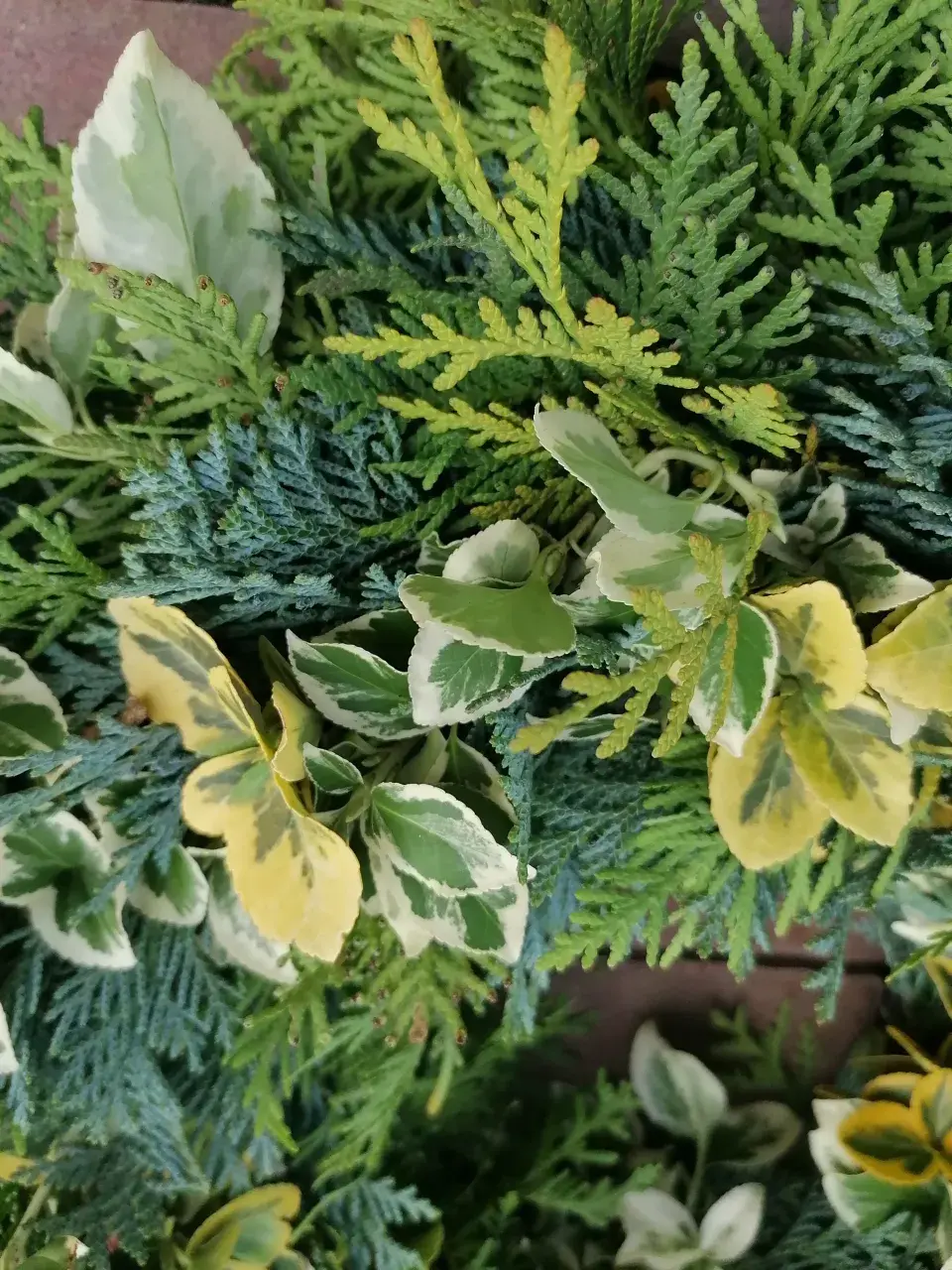 detail ozelenění korpusu 