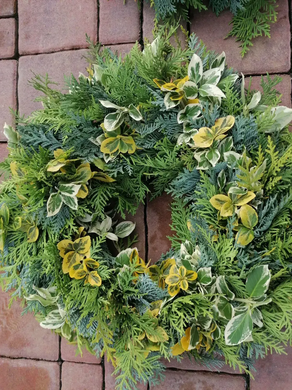 detail ozelenění korpusu 