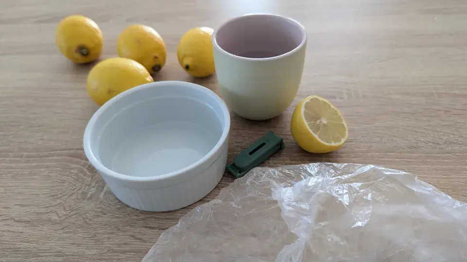 Domácí past na octomilky.