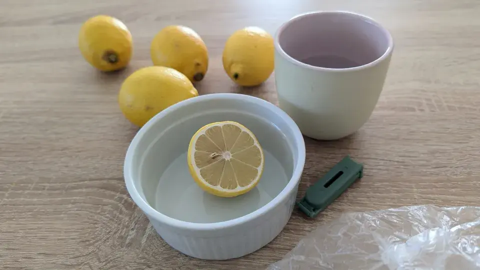 Domácí past na octomilky.