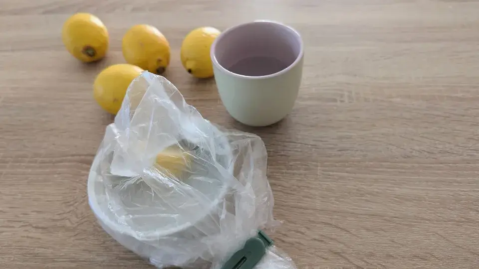 Domácí past na octomilky.