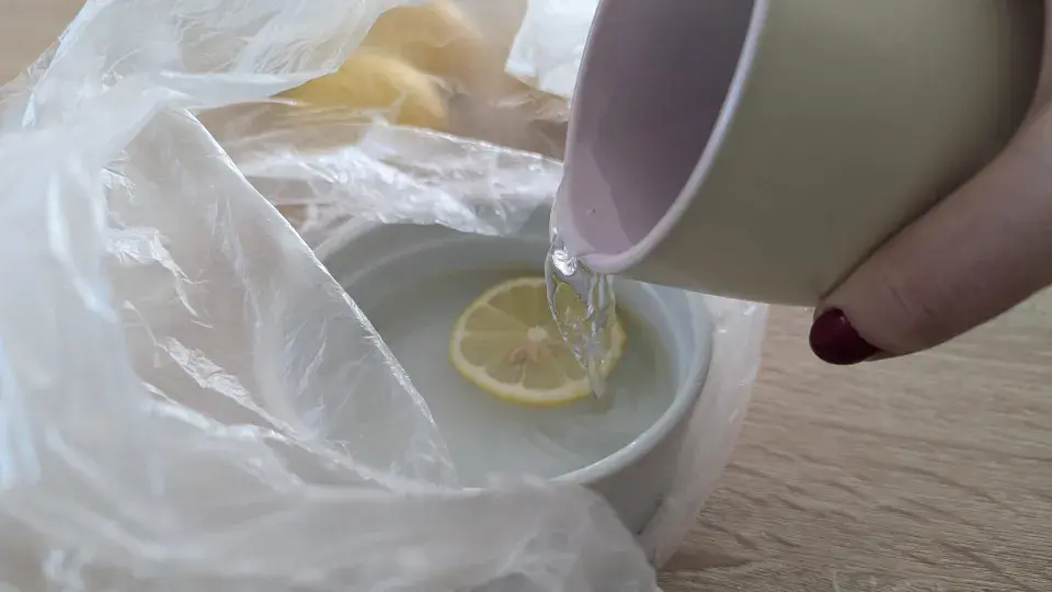 Domácí past na octomilky.