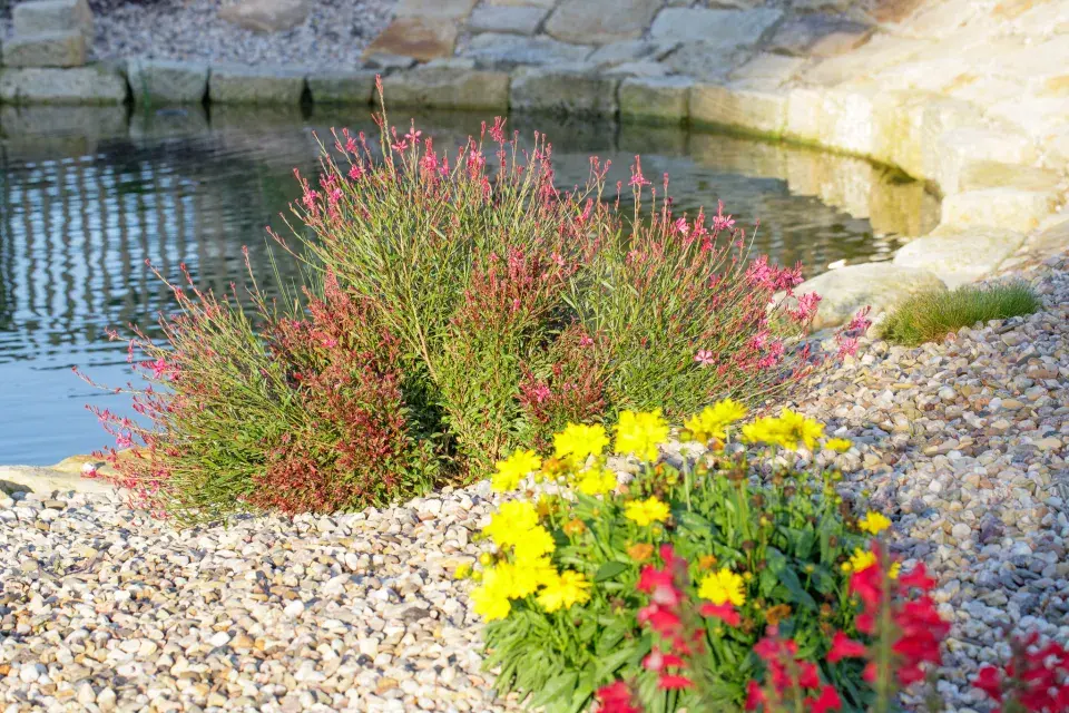 Návštěva zahrada čtenářky Veroniky Turkové