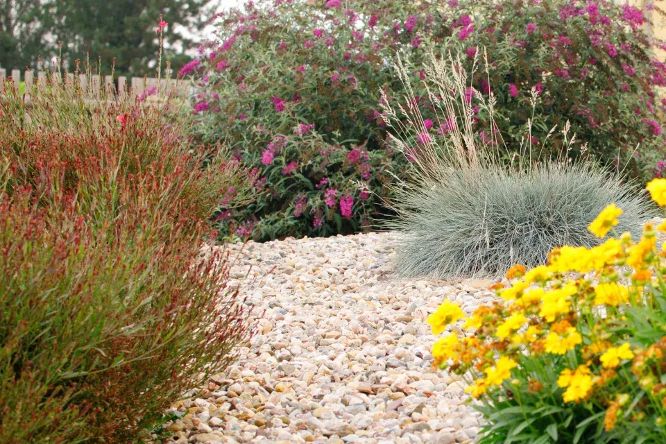 Návštěva zahrada čtenářky Veroniky Turkové