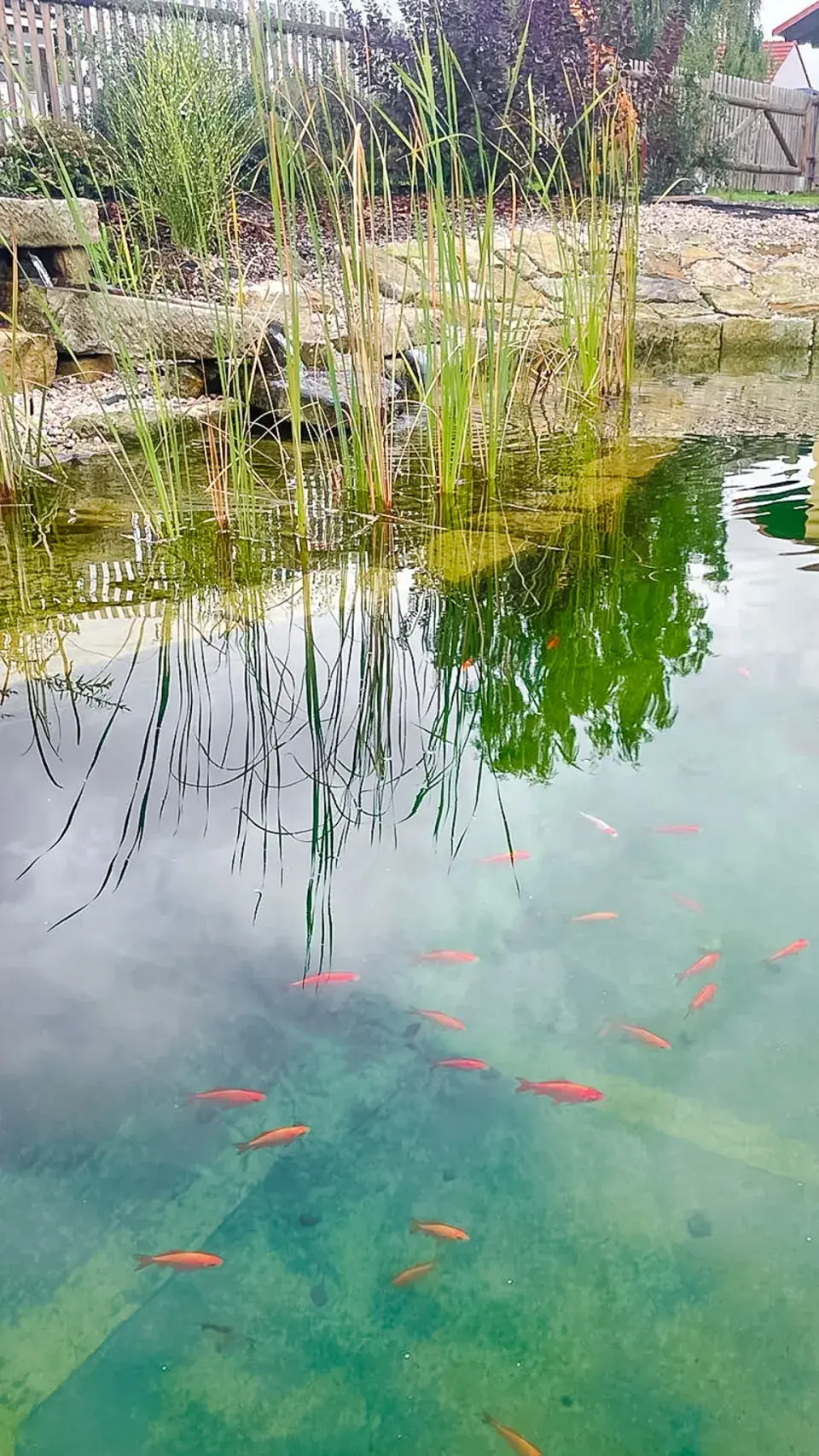 Návštěva zahrada čtenářky Veroniky Turkové