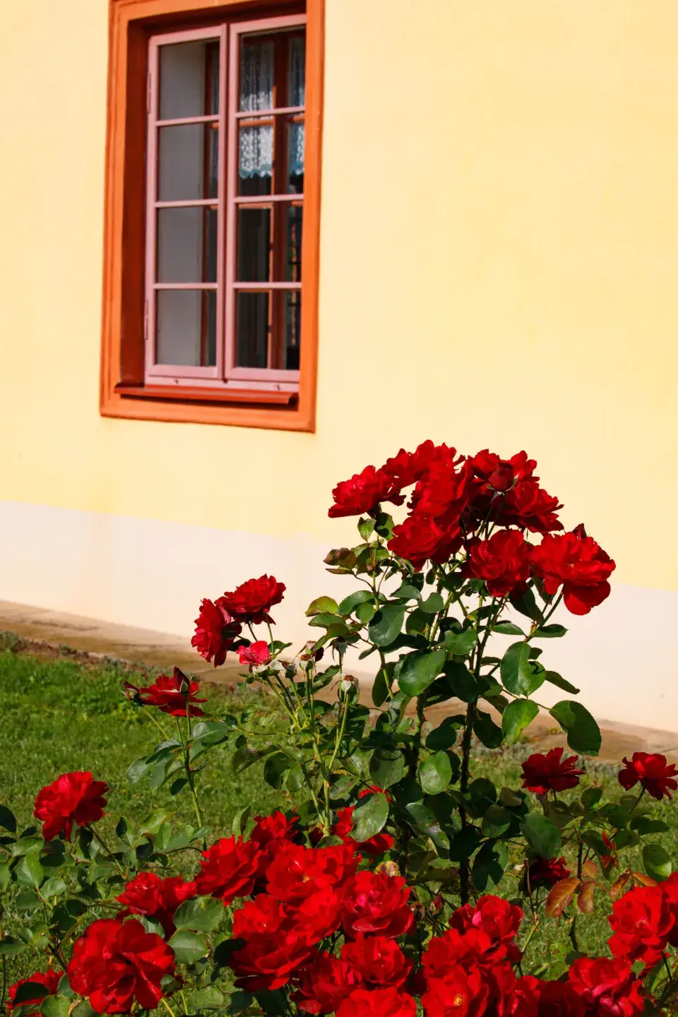 Návštěva zahrada čtenářky Veroniky Turkové