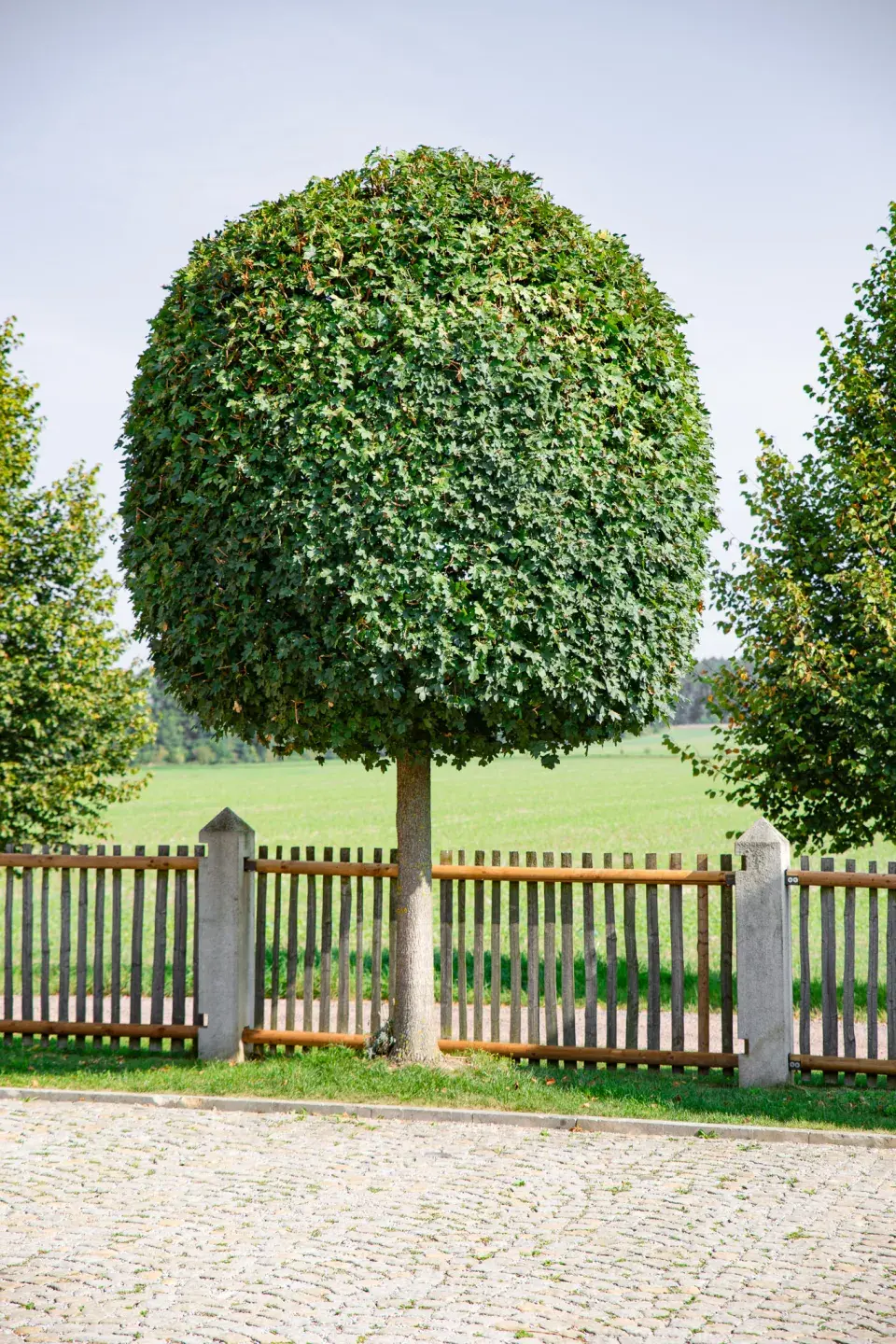 Návštěva zahrada čtenářky Veroniky Turkové