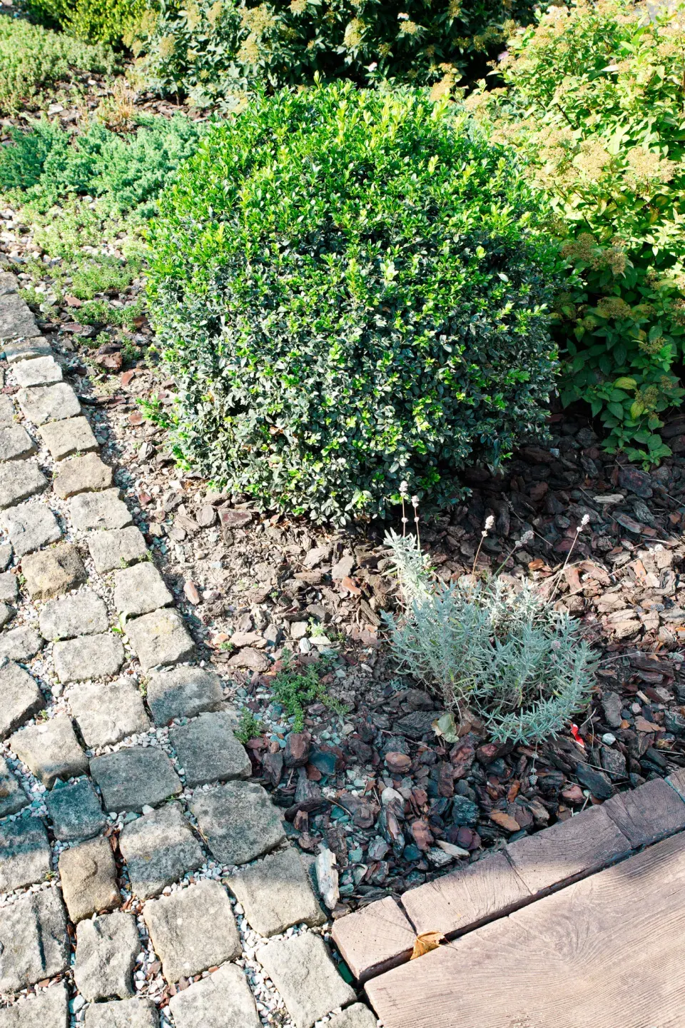 Návštěva zahrada čtenářky Veroniky Turkové