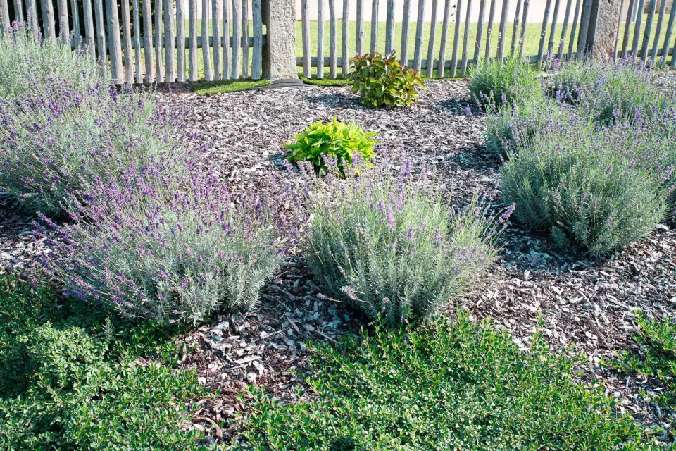 Návštěva zahrada čtenářky Veroniky Turkové