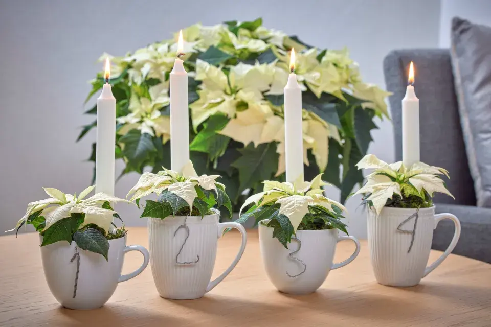 adventní svícen DIY