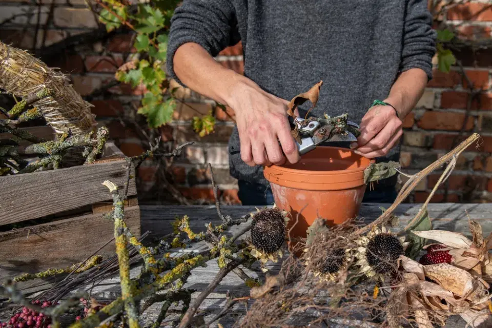 krmítko květináč