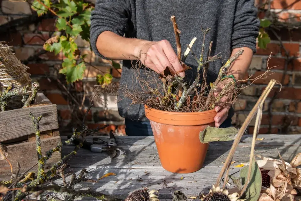 krmítko květináč