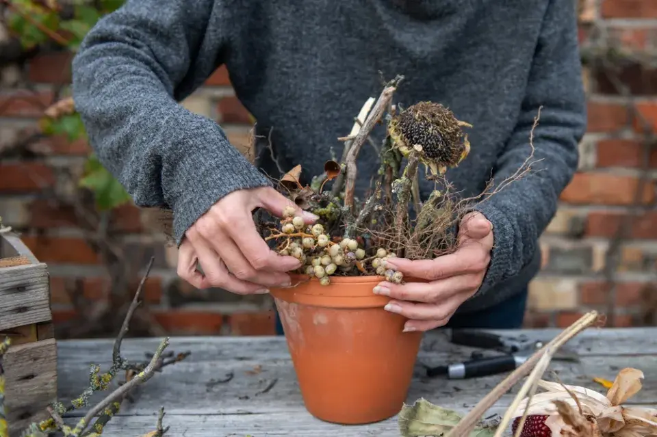 krmítko květináč