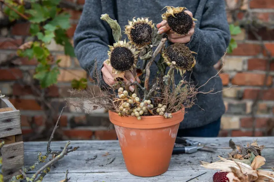 krmítko květináč