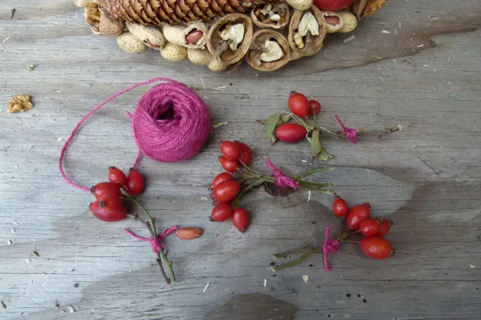 DIY věnec pro ptáky