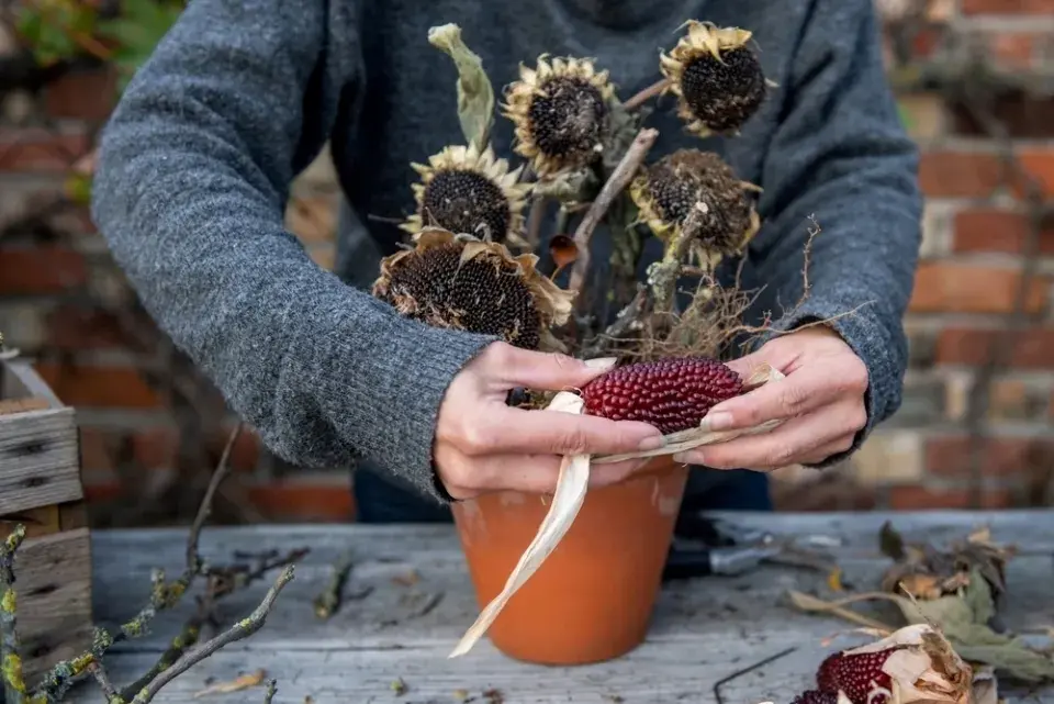 krmítko květináč