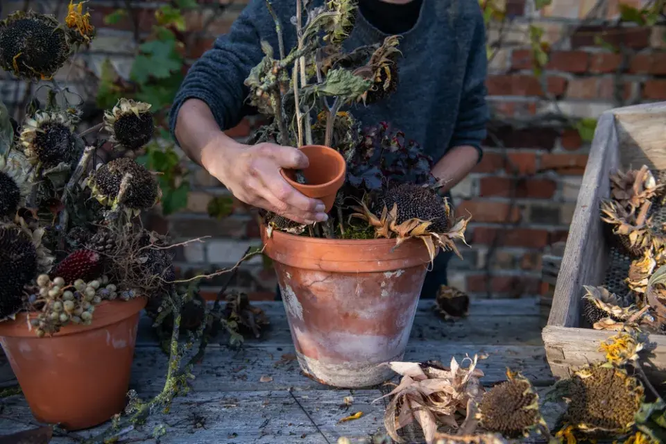 krmítko květináč