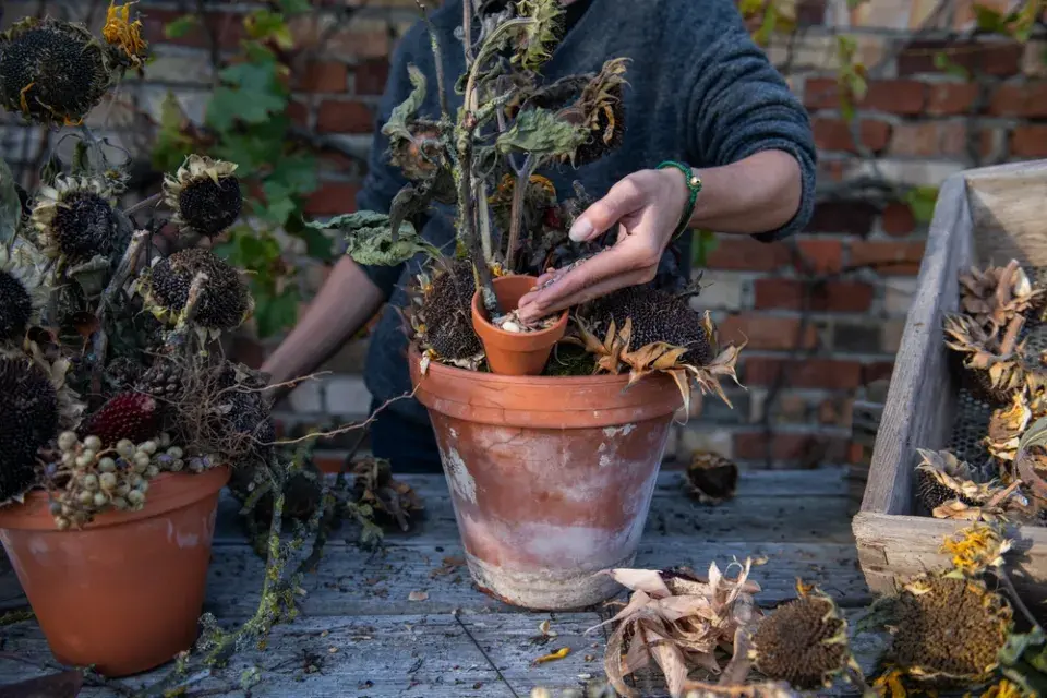 krmítko květináč