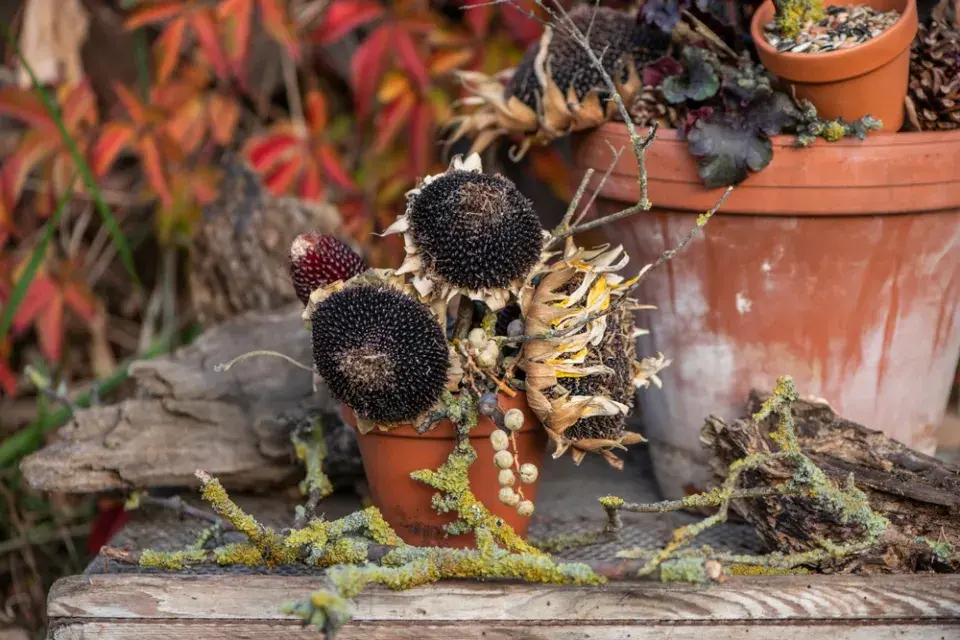 krmítko květináč