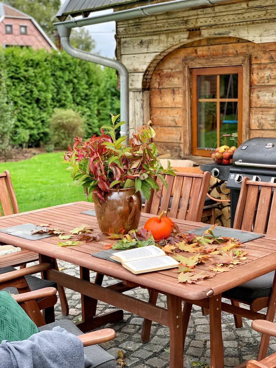 Barvy podzimu v zahradě.