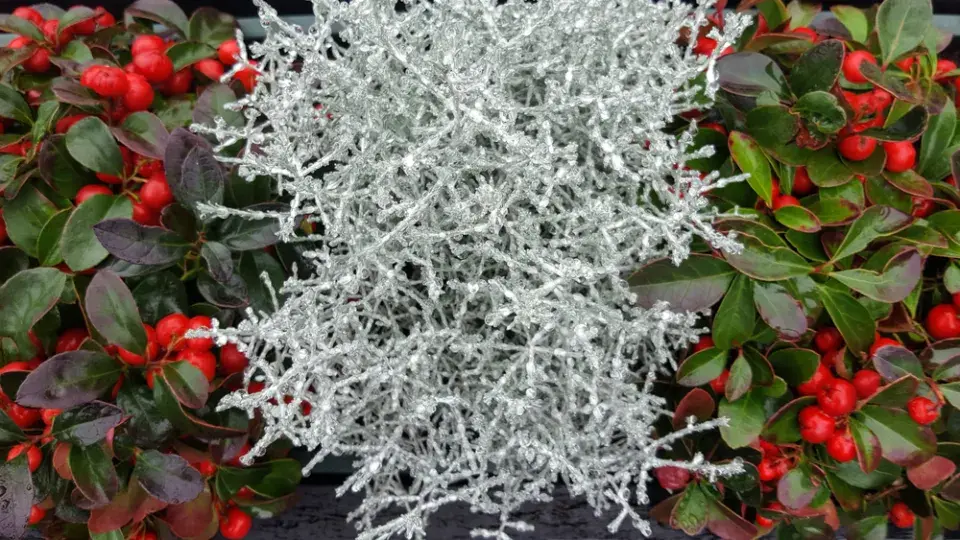 Podzimní truhlíky.