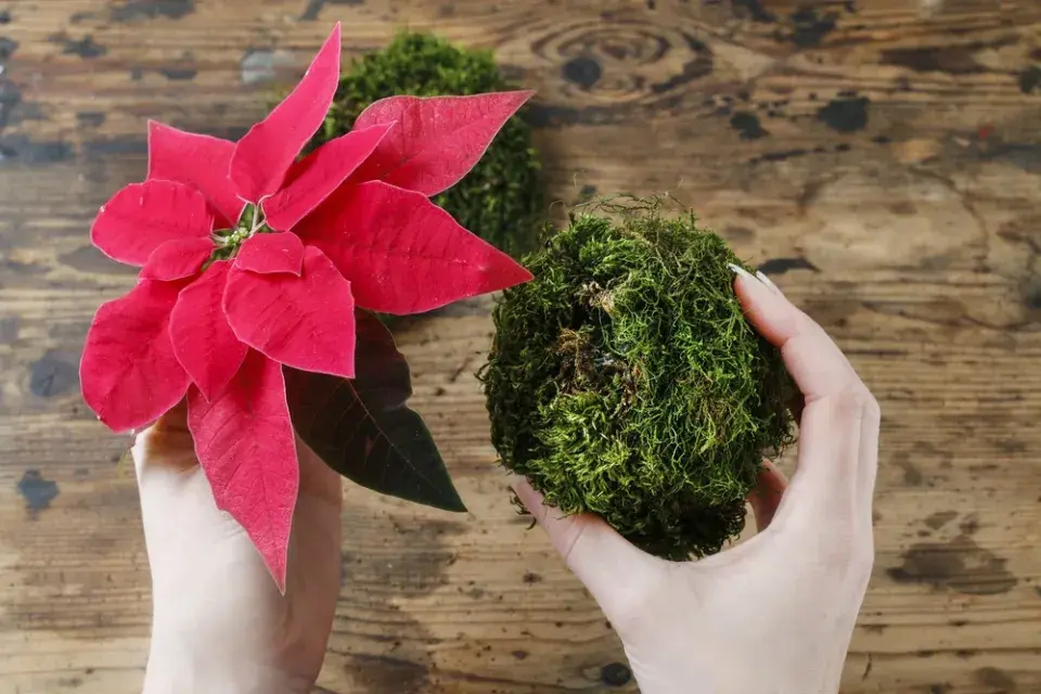 Výroba vánoční dekorace