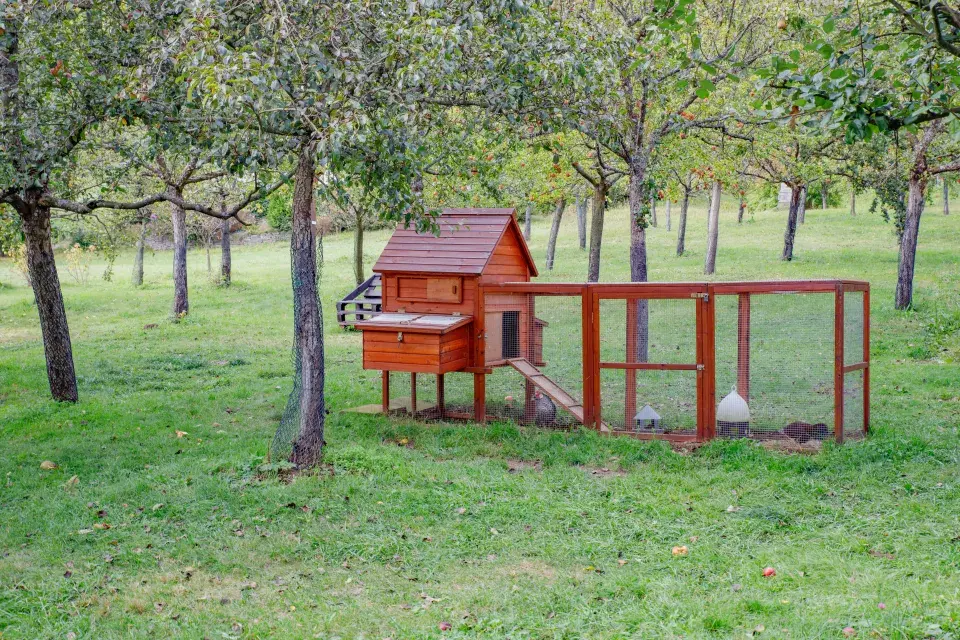 Expozice zvířat českého dvora v Sadu smíření