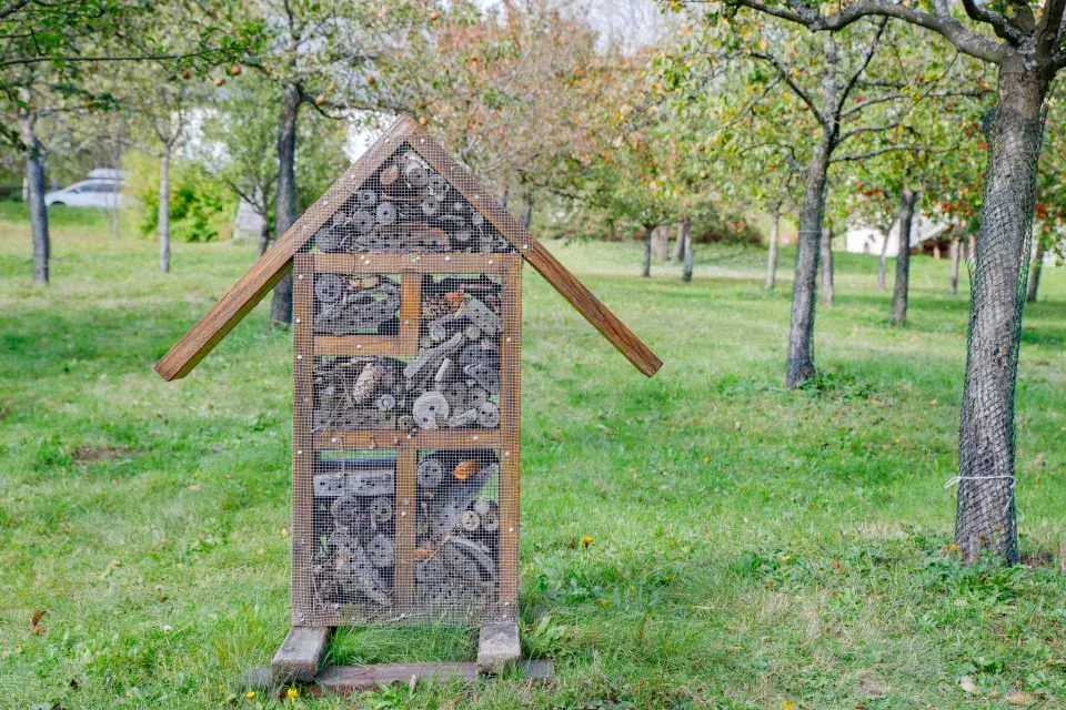 Sad Smíření - expozice zvířat českého dvora