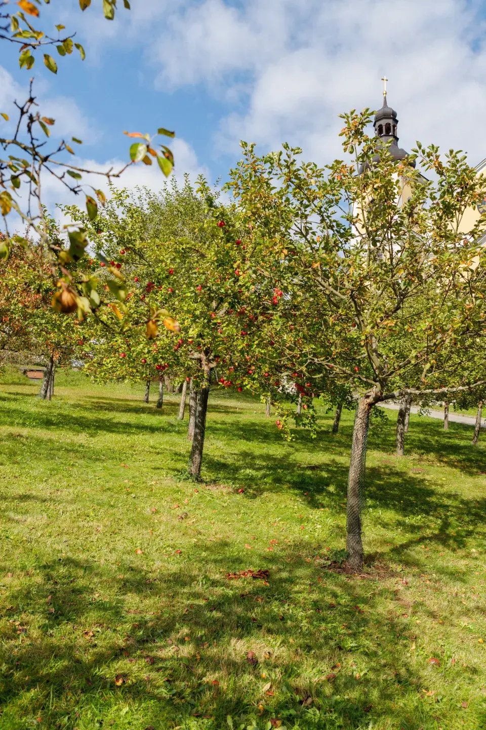 Sad smíření v Neratově 