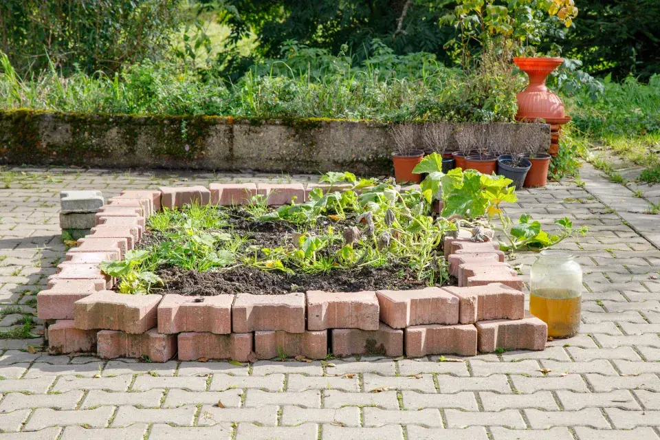 Sazenice a rostliny v zahradě Sdružení Neratov