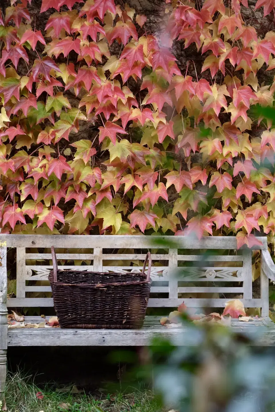 Zahrada Andrey Růžičkové