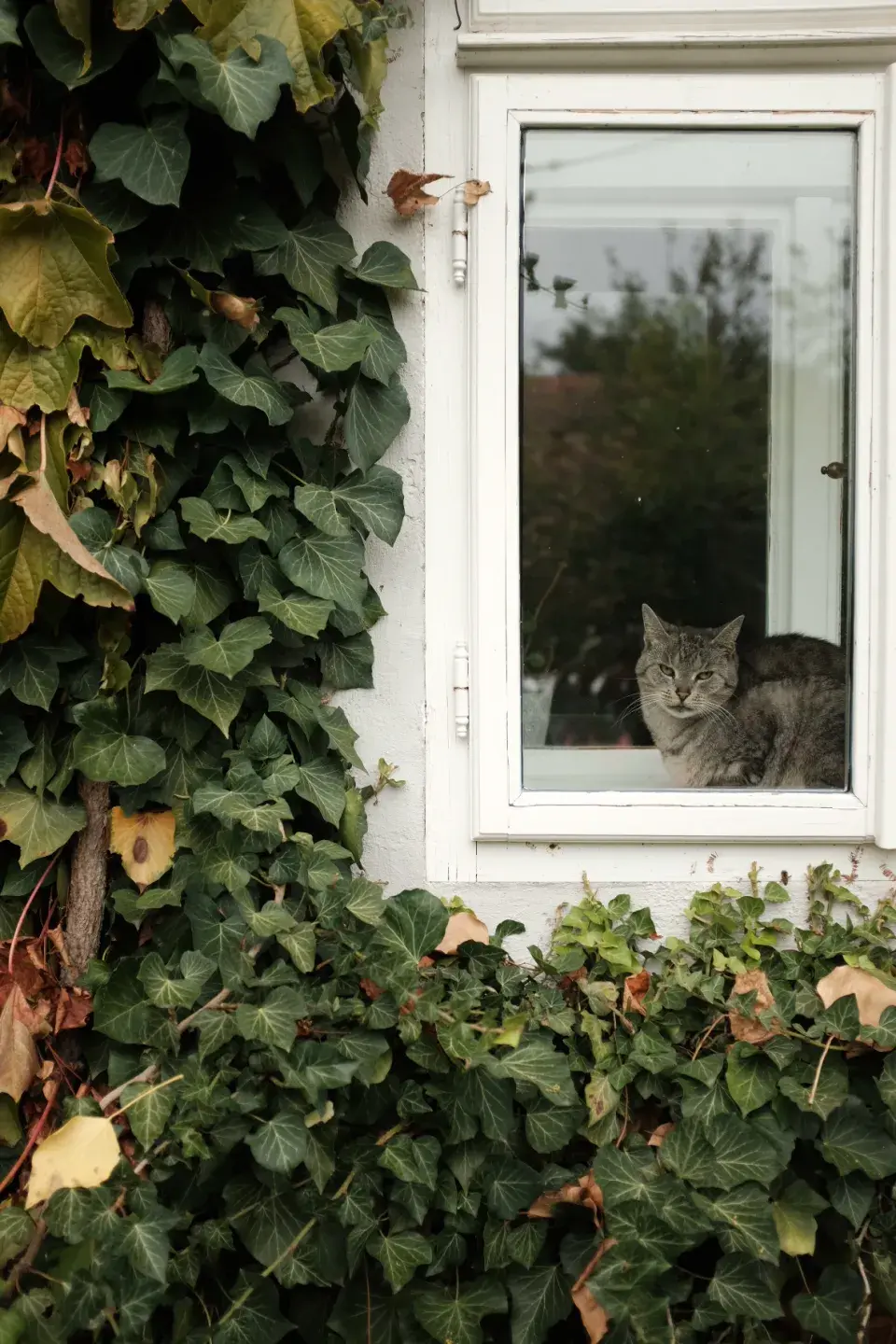 Zahrada Andrey Růžičkové