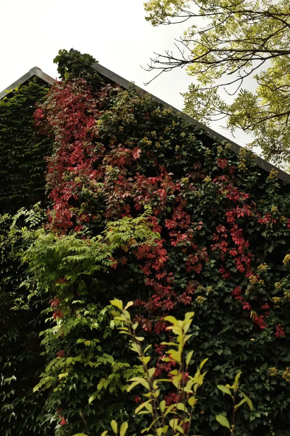 Zahrada Andrey Růžičkové